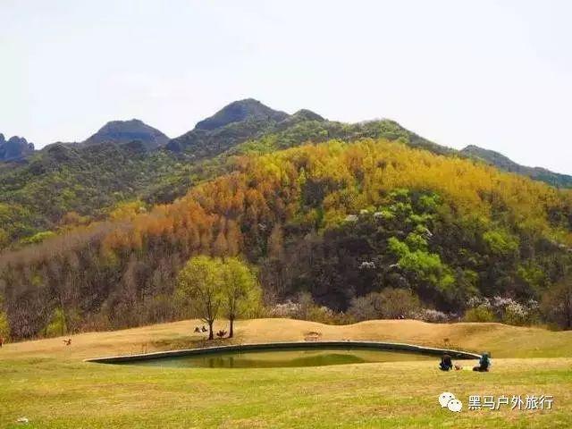 逃离废弃的卡车场